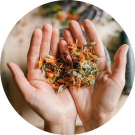 Herbal